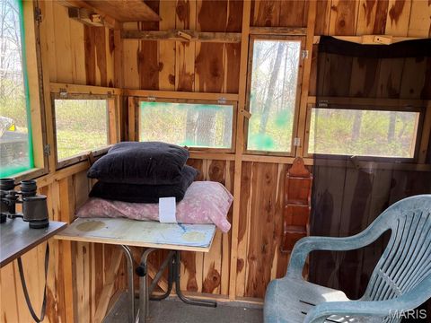 Tiny photo for 24755 MAYAPPLE Lane, Lebanon, MO 65536 (MLS # 26024142)