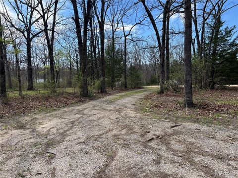 Tiny photo for 24755 MAYAPPLE Lane, Lebanon, MO 65536 (MLS # 26024142)