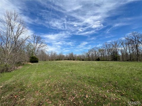 Tiny photo for 24755 MAYAPPLE Lane, Lebanon, MO 65536 (MLS # 26024142)