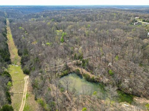 Tiny photo for 24755 MAYAPPLE Lane, Lebanon, MO 65536 (MLS # 26024142)