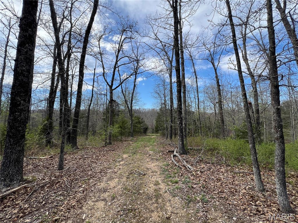 Bent Tree Estate - Farm