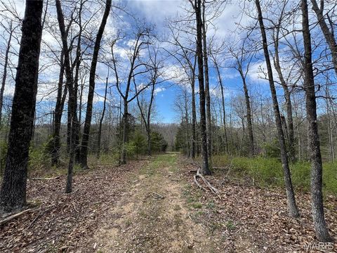 Tiny photo for 24755 MAYAPPLE Lane, Lebanon, MO 65536 (MLS # 26024142)