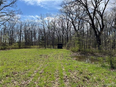 Tiny photo for 24755 MAYAPPLE Lane, Lebanon, MO 65536 (MLS # 26024142)