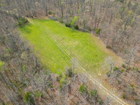 Tiny photo for 24755 MAYAPPLE Lane, Lebanon, MO 65536 (MLS # 26024142)
