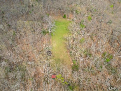 Tiny photo for 24755 MAYAPPLE Lane, Lebanon, MO 65536 (MLS # 26024142)