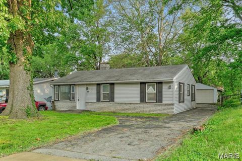 143 Flora Drive Hazelwood MO 63135