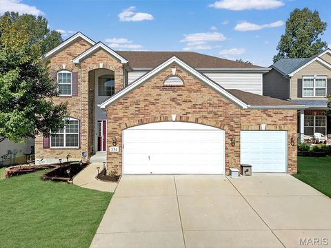 Photo of 334 Lauren Landing, Ballwin, MO 63021 (MLS # 25062680)