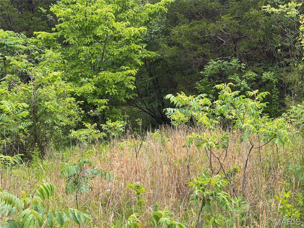 PARK IN THE HILLS PAHSE 3 - Land