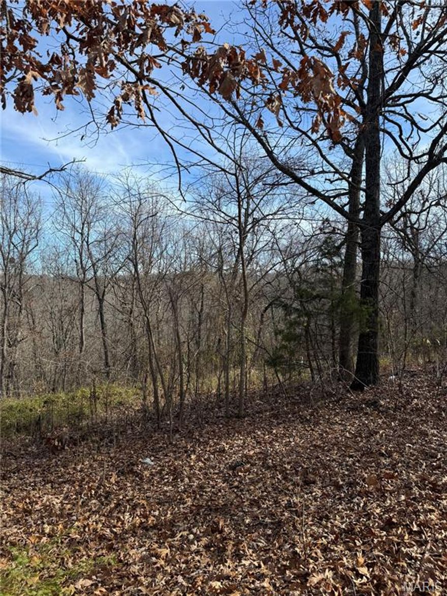 Located in Pulaski County, Missouri this 1 +/- acre lot is ready for your new home! Electric, county sewer & county water are currently in place on this property & ready to be connected. Build a home here, move a home here or pull your RV in & hook it up with ease! Enjoy the convenience of being minutes away from Dixon Missouri, St. Robert Missouri, Fort Leonard Wood Base, Interstate I-44 as well as many shopping centers and restaurants.