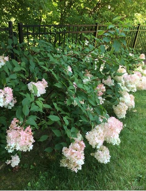 Tiny photo for 4988 Sefton Drive, St Louis, MO 63128 (MLS # 26014171)