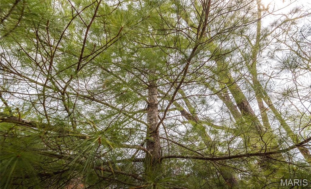 College Hills 2 - Residential