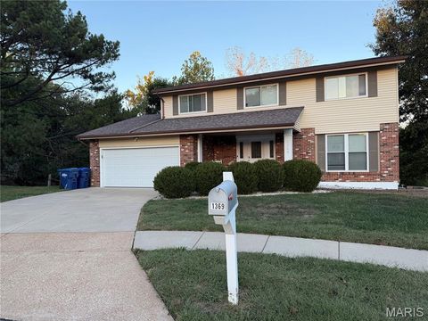 Photo of 1369 Green Birch Court, Fenton, MO 63026 (MLS # 25070213)