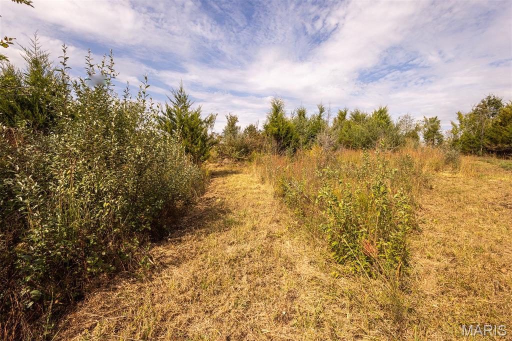 Haylon Estates - Land