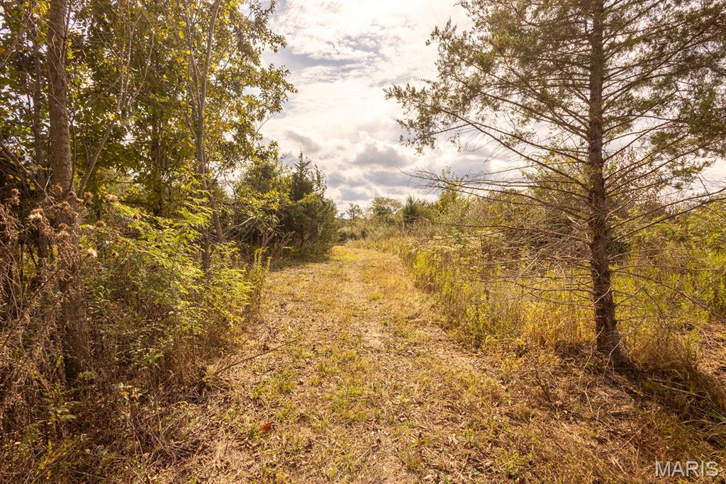 Haylon Estates - Land