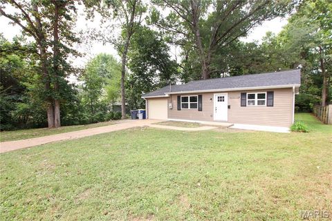 17 Richardson Drive Union MO 63084