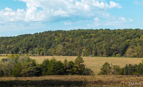 Tiny photo for 10110 Ashley Creek road, Unincorporated, MO 65560 (MLS # 26012958)