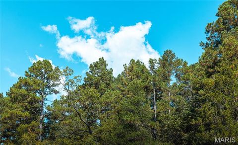 Tiny photo for 10110 Ashley Creek road, Unincorporated, MO 65560 (MLS # 26012958)