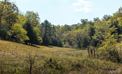 Tiny photo for 10110 Ashley Creek road, Unincorporated, MO 65560 (MLS # 26012958)