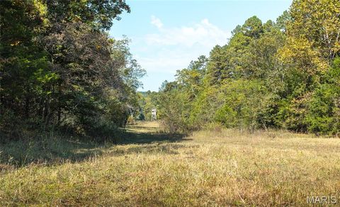 Tiny photo for 10110 Ashley Creek road, Unincorporated, MO 65560 (MLS # 26012958)