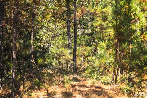 Tiny photo for 10110 Ashley Creek road, Unincorporated, MO 65560 (MLS # 26012958)