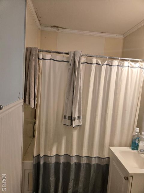 Tiny photo for 308 Oak Tree Drive, Webster Groves, MO 63119 (MLS # 25065383)
