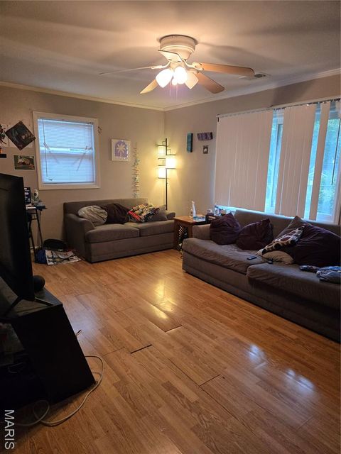 Tiny photo for 308 Oak Tree Drive, Webster Groves, MO 63119 (MLS # 25065383)