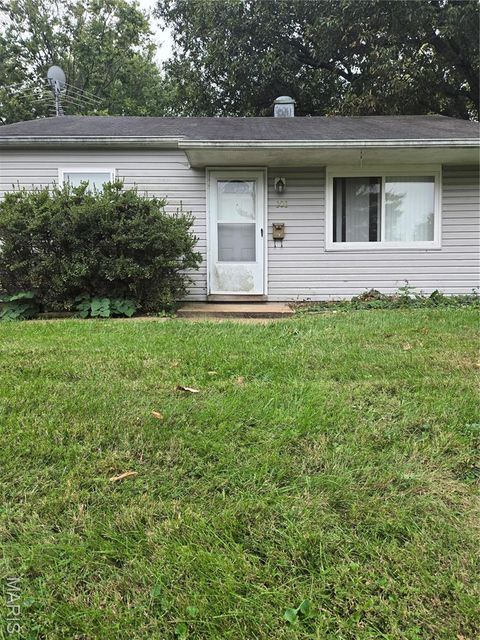 Photo of 308 Oak Tree Drive, Webster Groves, MO 63119 (MLS # 25065383)