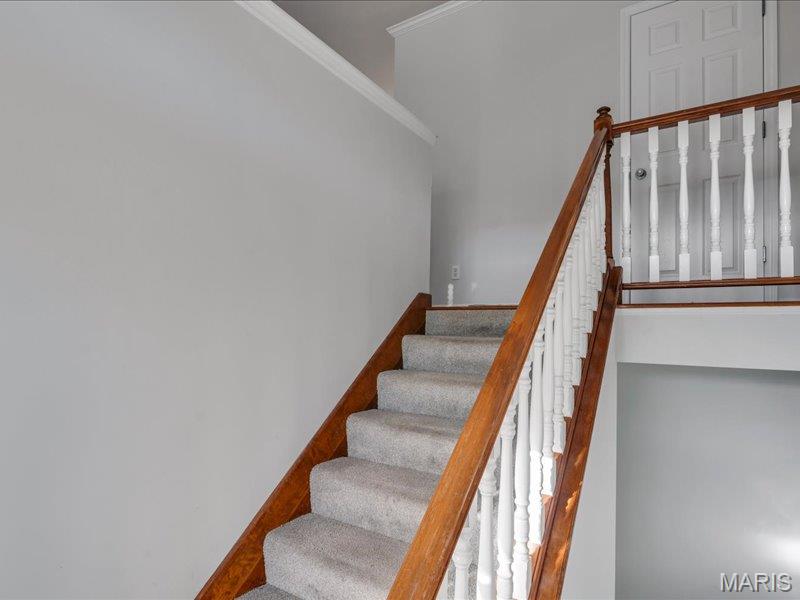 559 Winter Garden Drive