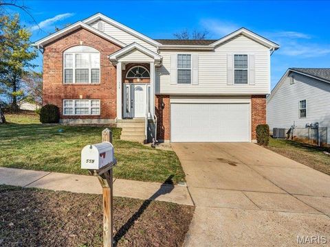 559 Winter Garden Drive Fenton MO 63026