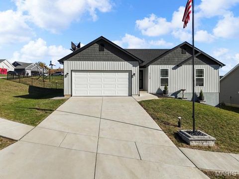 1117 Dalton's Way Festus MO 63028