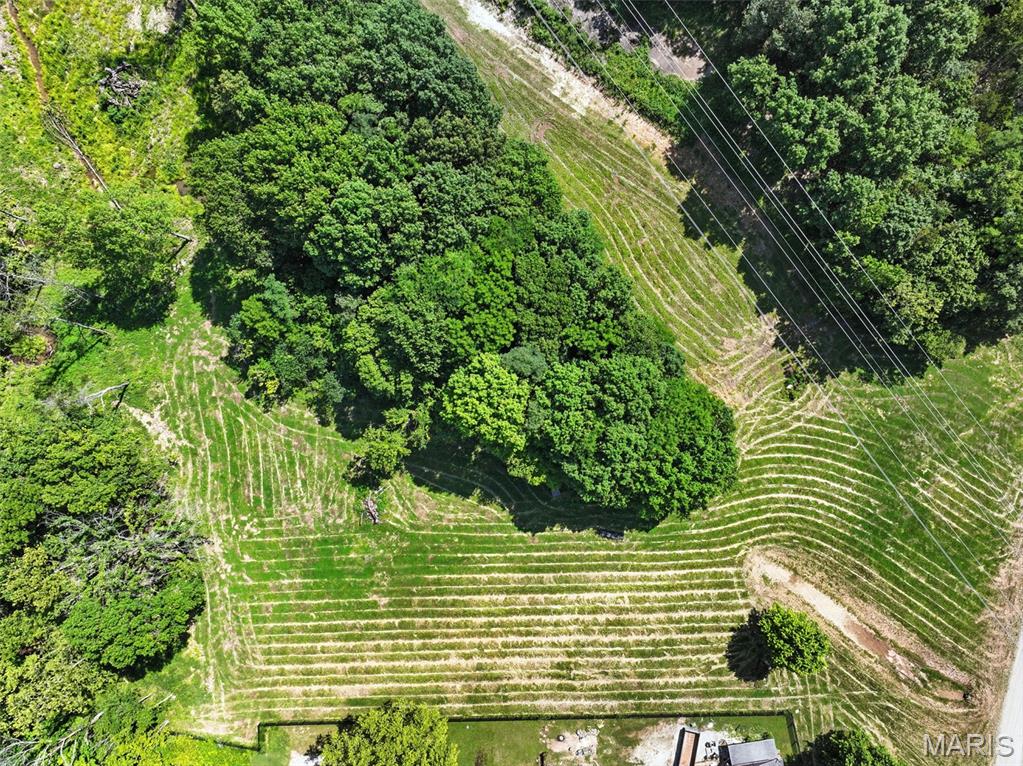 Seven Springs - Farm