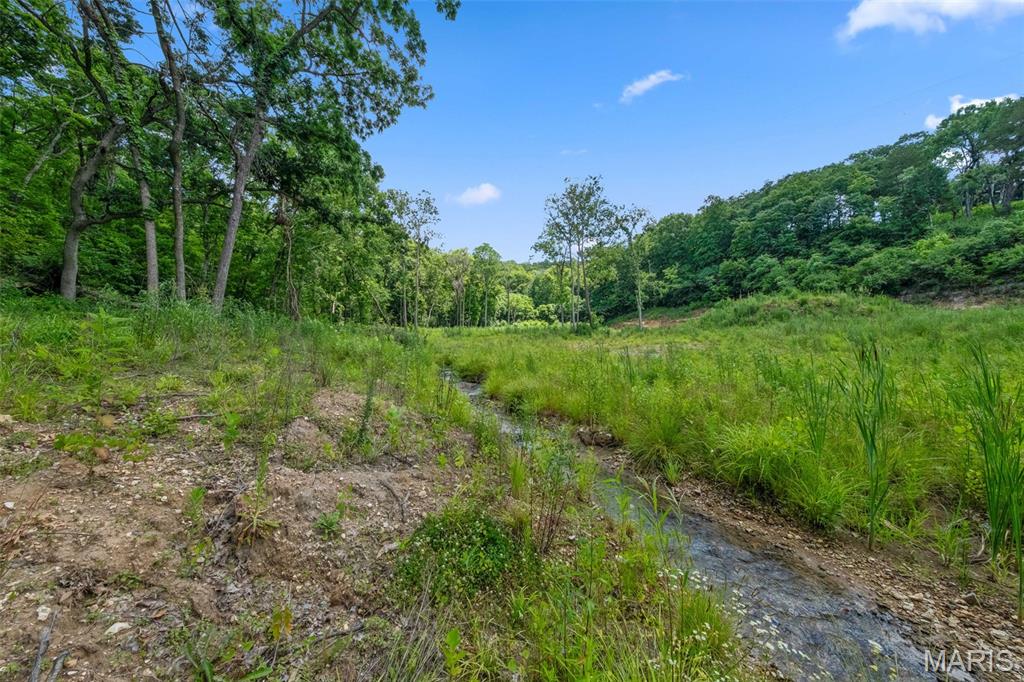 Seven Springs - Farm