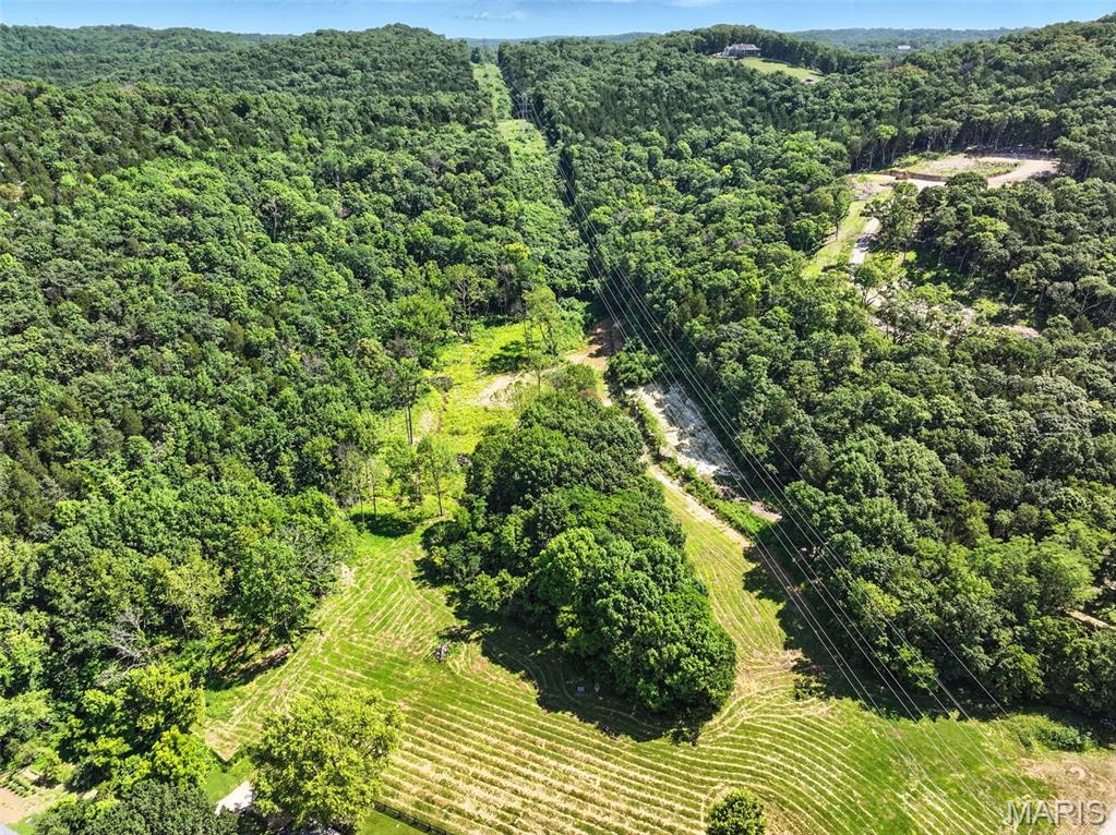 Seven Springs - Farm