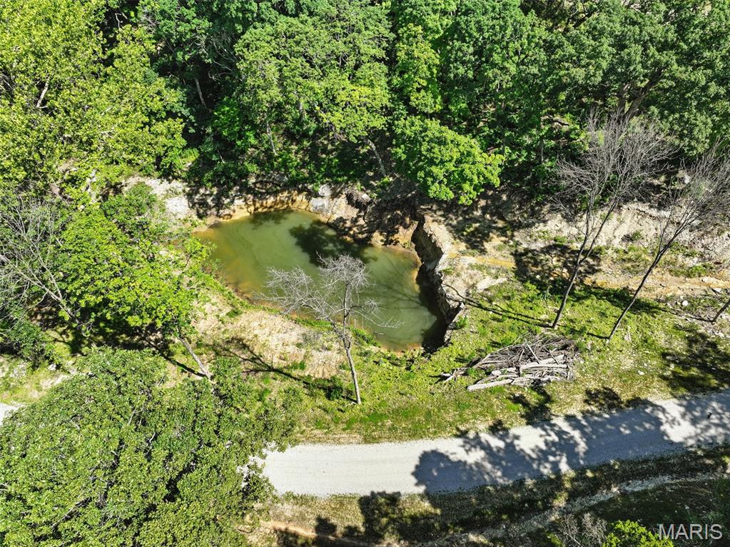 Seven Springs - Farm