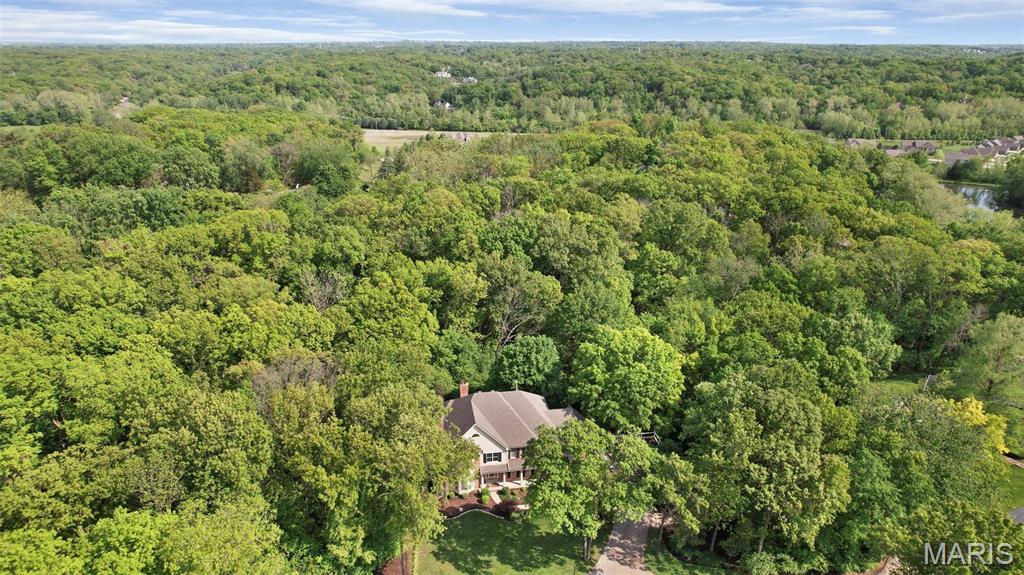 1508 Pacland Ridge Court