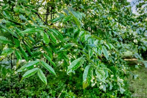 Tiny photo for 0 Cave Farm Rd. (37+/- Acres), Troy, MO 63379 (MLS # 25061298)