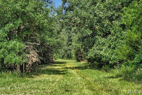 Tiny photo for 0 Cave Farm Rd. (37+/- Acres), Troy, MO 63379 (MLS # 25061298)