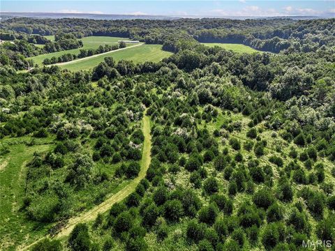 Tiny photo for 0 Cave Farm Rd. (37+/- Acres), Troy, MO 63379 (MLS # 25061298)