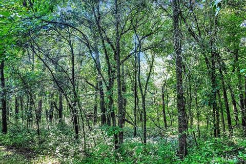 Tiny photo for 0 Cave Farm Rd. (37+/- Acres), Troy, MO 63379 (MLS # 25061298)