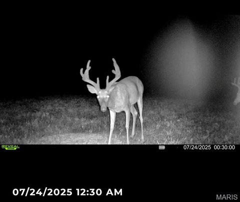 Tiny photo for 0 Cave Farm Rd. (37+/- Acres), Troy, MO 63379 (MLS # 25061298)