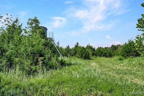 Tiny photo for 0 Cave Farm Rd. (37+/- Acres), Troy, MO 63379 (MLS # 25061298)