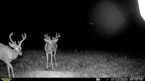 Tiny photo for 0 Cave Farm Rd. (37+/- Acres), Troy, MO 63379 (MLS # 25061298)