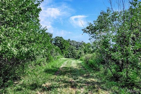 Tiny photo for 0 Cave Farm Rd. (37+/- Acres), Troy, MO 63379 (MLS # 25061298)