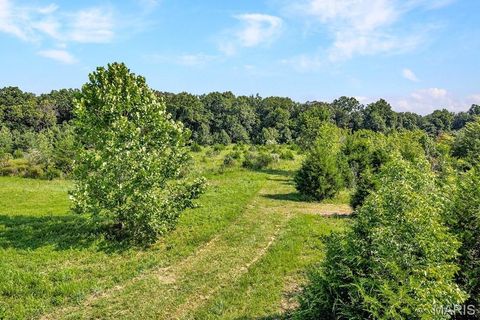 Tiny photo for 0 Cave Farm Rd. (37+/- Acres), Troy, MO 63379 (MLS # 25061298)
