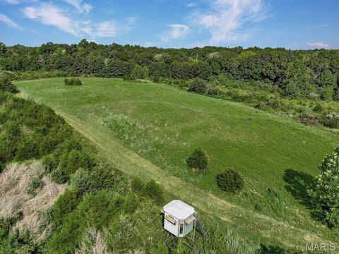 Photo of 0 Cave Farm Rd. (37+/- Acres), Troy, MO 63379 (MLS # 25061298)