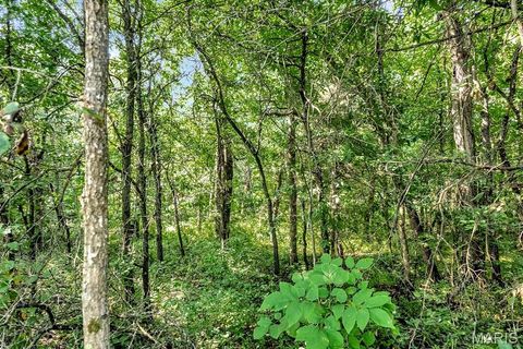 Tiny photo for 0 Cave Farm Rd. (37+/- Acres), Troy, MO 63379 (MLS # 25061298)