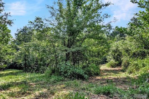 Tiny photo for 0 Cave Farm Rd. (37+/- Acres), Troy, MO 63379 (MLS # 25061298)