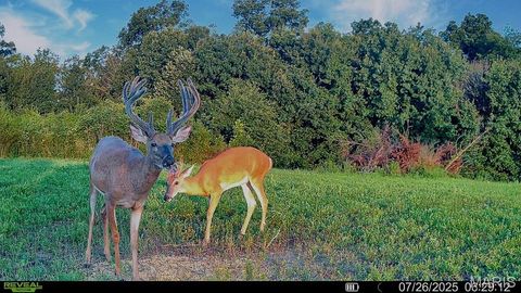 Tiny photo for 0 Cave Farm Rd. (37+/- Acres), Troy, MO 63379 (MLS # 25061298)