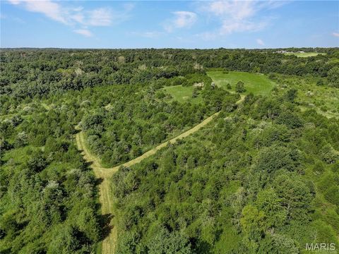 Tiny photo for 0 Cave Farm Rd. (37+/- Acres), Troy, MO 63379 (MLS # 25061298)