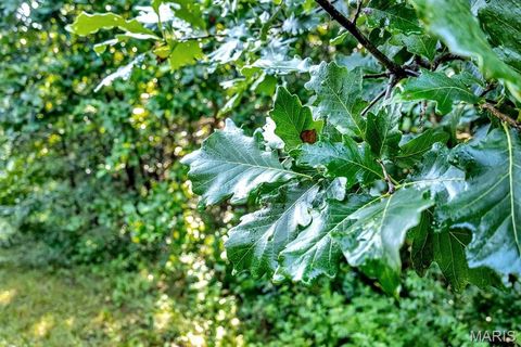 Tiny photo for 0 Cave Farm Rd. (37+/- Acres), Troy, MO 63379 (MLS # 25061298)